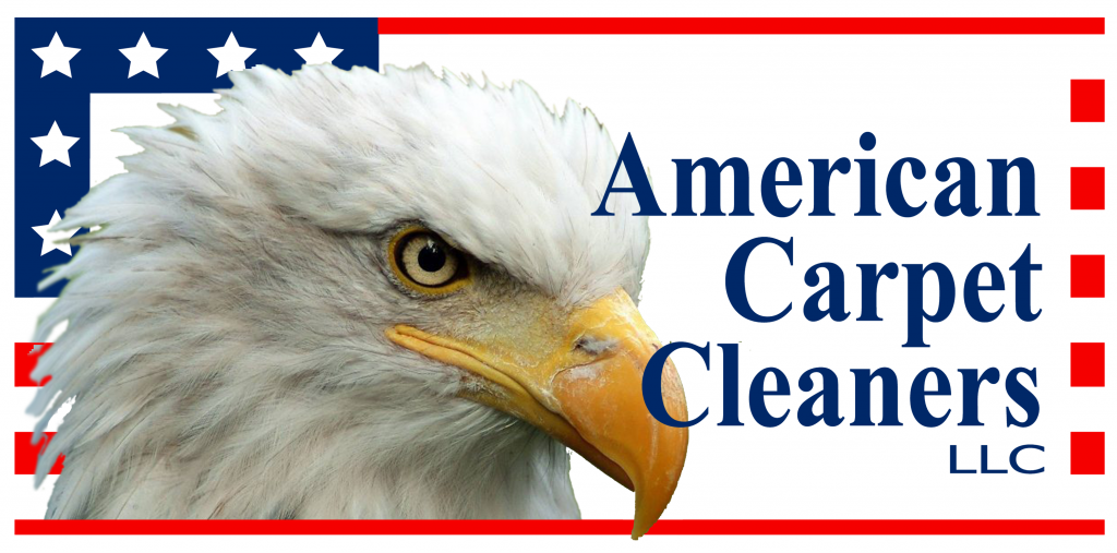 American Carpet Cleaners